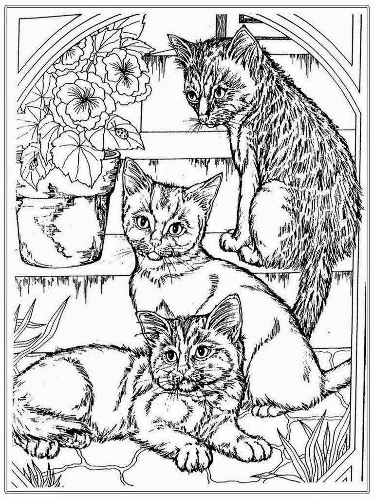 cat-coloring-pages-for-adults-part-4